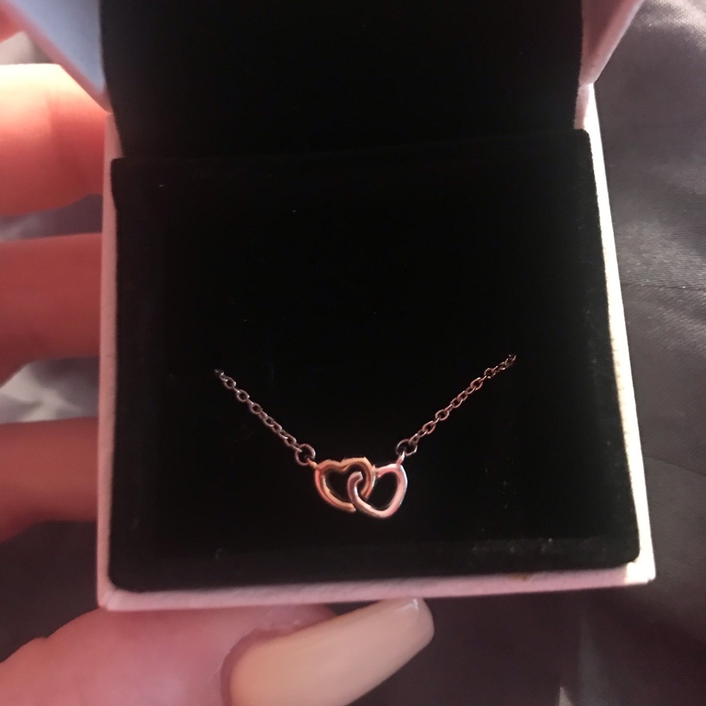 Pandora Necklace